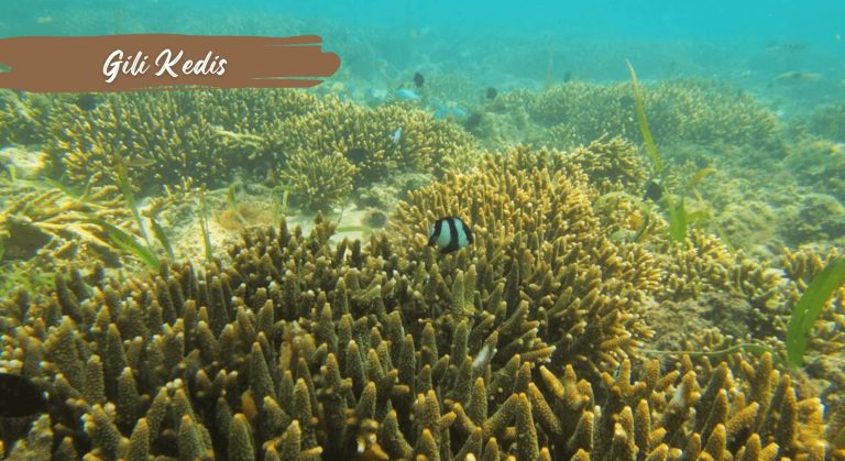 paket tour lombok