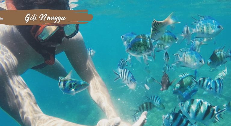 paket tour lombok