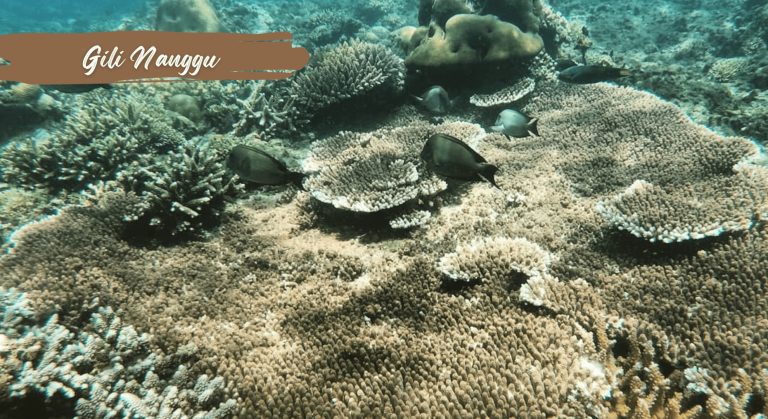 paket tour lombok