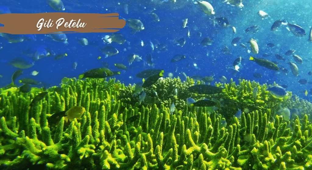 Paket Wisata Lombok Murah 3 Hari 2 Malam Opsi D