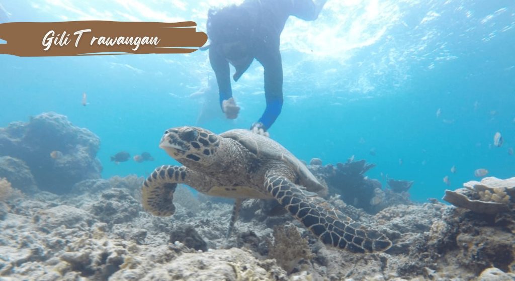 Paket Wisata Di Lombok Murah 3 Hari 2 Malam Opsi B